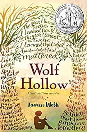 Wolf Hollow by Lauren Wolk - book cover